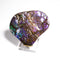 Ammolite Decoration