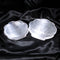 Selenite Plate (Shell) -  12CM 